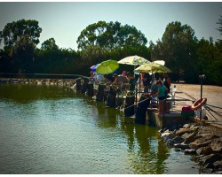Carpodromo