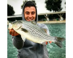 Lago pesce misto
