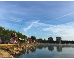 Lago pesce misto