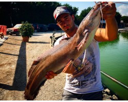 Lago pesce misto